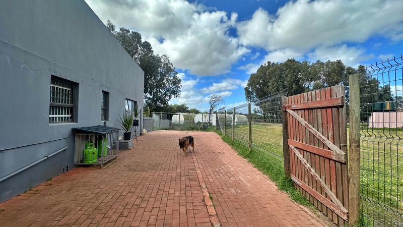 7 Bedroom Property for Sale in Dassenberg Western Cape